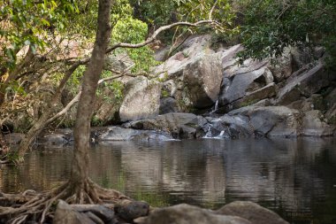 Hong Kong 'daki şehir parkında bir nehir.
