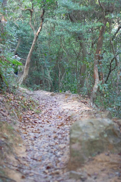 Ścieżka Krajobrazowa Pat Sin Leng Country Park — Zdjęcie stockowe