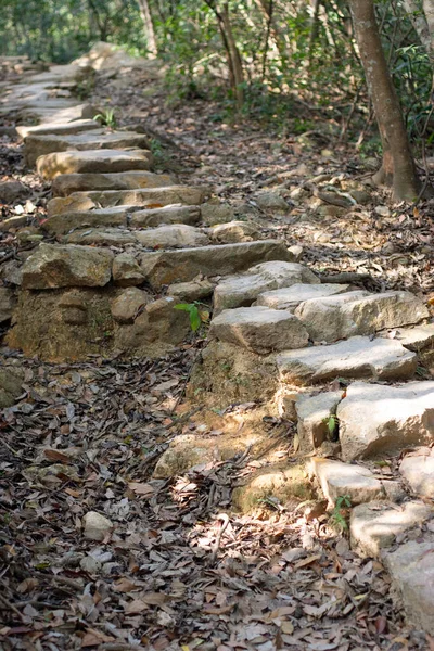 Μονοπάτι Της Φύσης Στο Pat Sin Leng Country Park — Φωτογραφία Αρχείου