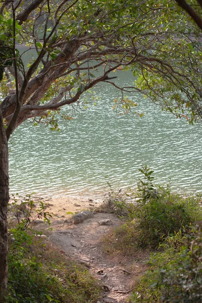 Σούι Χάουνγκ Reservoir Στο Χονγκ Κονγκ Παραθαλάσσιο Τοπίο — Φωτογραφία Αρχείου