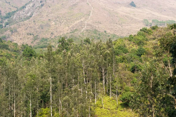 Uma Vista Natureza Pat Sin Leng Country Park — Fotografia de Stock