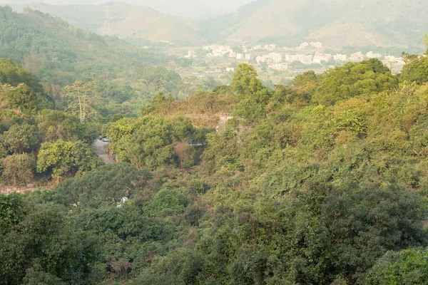 Nature View Pat Sin Leng Country Park — Stock Photo, Image