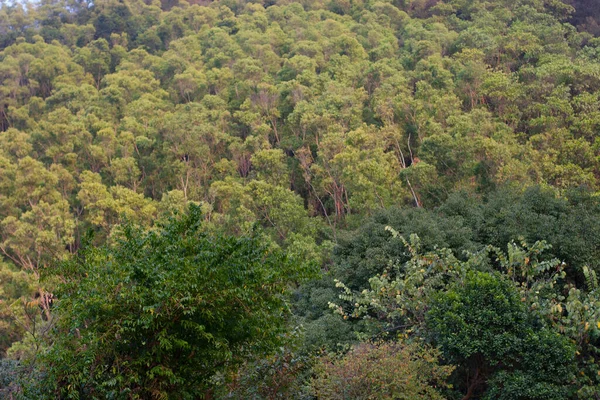 Uma Vista Natureza Pat Sin Leng Country Park — Fotografia de Stock