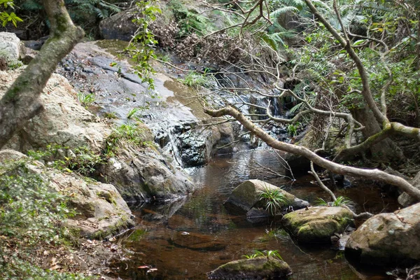 Rio Parque Rural Hong Kong — Fotografia de Stock