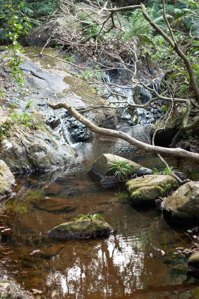 Río Parque Rural Hong Kong — Foto de Stock