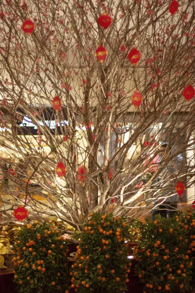Die Chinesische Neujahrsdekoration Blume Pfirsichblüte — Stockfoto