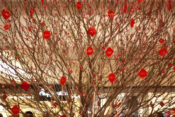Çin Yeni Yıl Dekorasyonu Çiçek Şeftali Çiçeği — Stok fotoğraf