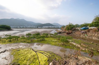 13 Mayıs 2006 Nam Wai 'nin sulak arazisi, sai kung