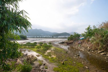 13 Mayıs 2006 Nam Wai 'nin sulak arazisi, sai kung