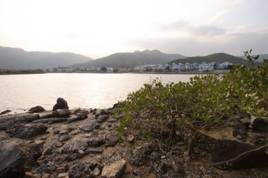 13 Mayıs 2006 sulak arazi Nam Wai, sai kung