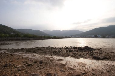 13 Mayıs 2006 'da Nam Wai, Sai kung' da sulak arazi.