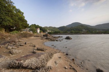 13 Mayıs 2006 sulak arazi Nam Wai, sai kung