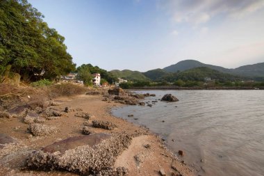 13 Mayıs 2006 sulak arazi Nam Wai, sai kung