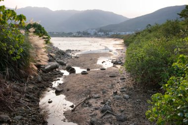 13 Mayıs 2006 sulak arazi Nam Wai, sai kung