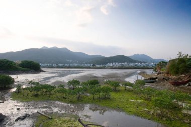 13 Mayıs 2006 sulak arazi Nam Wai, sai kung