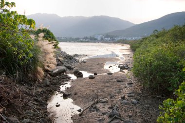 13 Mayıs 2006 sulak arazi Nam Wai, sai kung