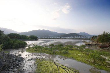 13 Mayıs 2006 sulak arazi Nam Wai, sai kung