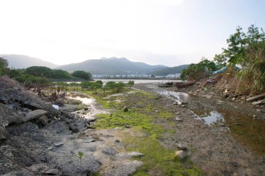 13 Mayıs 2006 sulak arazi Nam Wai, sai kung