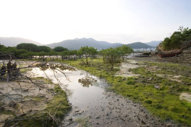 13 Mayıs 2006 Nam Wai, Moss Landing duman yığınları sitenin sınırında