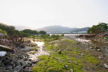 13 Mayıs 2006 Nam Wai, Moss Landing duman yığınları sitenin sınırında