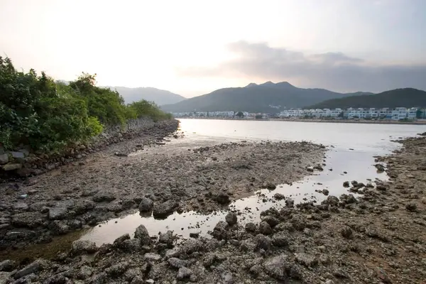 13 Mayıs 2006 sulak arazi Nam Wai, sai kung