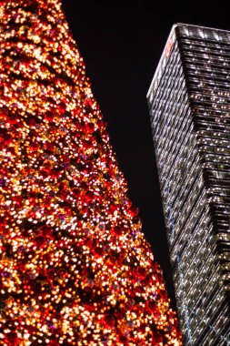 Noel Ağacı, balolarıyla taze ladin ağaçlarını düzenliyor..