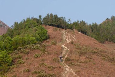 2 Aralık 2006 'da HK' daki dağlarda veya ormanlarda yürüyüş yapan insanlar