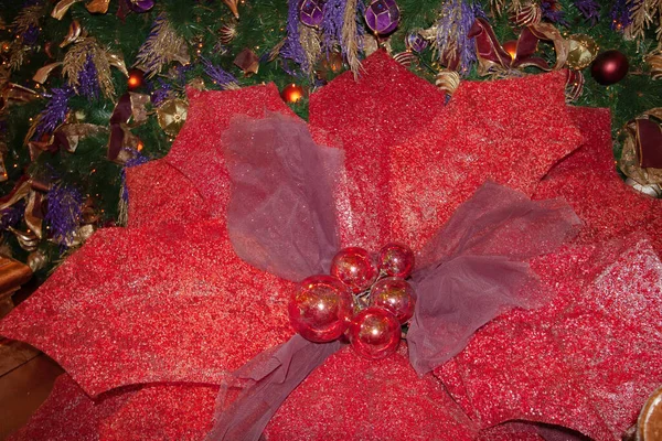 Дек 2006 Closeup Red Christmas Poinsettia Flowers — стоковое фото