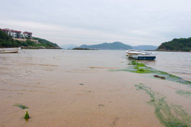 15 Nisan 2006 'da Clear Water Bay' de Sheung Sze Wan Sahili 