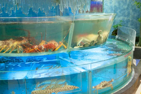 April 2006 Fish Aquarium Restaurant Hong Kong — 스톡 사진