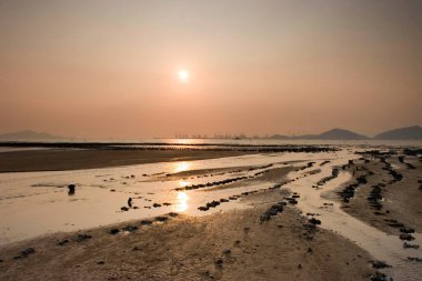 13 Ağustos 2006 Hong Kong 'da sulak arazi 