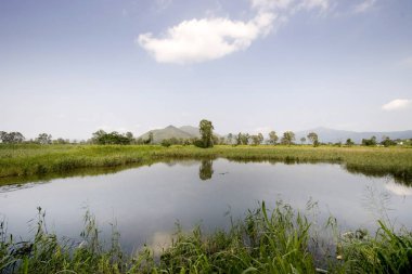 Shan Pui Tsuen 'deki balık havuzu, Yuen long HK