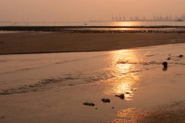 13 Aug 2006 Pak Nai, one of the oyster farm in Hong Kong. 