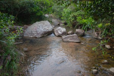 2 Sept 2006 Deep forest river wild waterfall view. Forest river wild landscape.