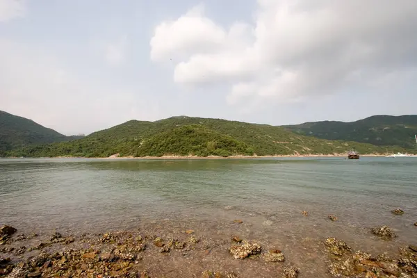 탐만의 부분에 항구이다 — 스톡 사진