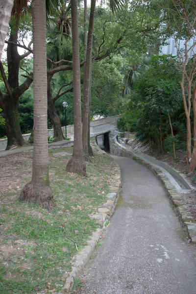 October 2006 Path Out House Main Road — 图库照片