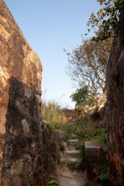 4 Noc 2006 Şeytani Tepe Bataryası, Yau Tong, hk