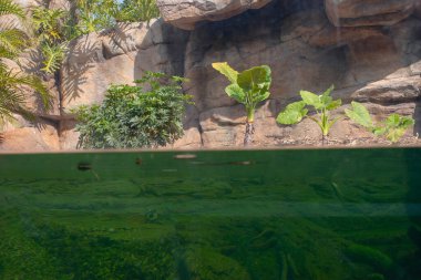  23 Aralık 2006 Hong Kong Wetland Parkı, Tin Shui Wai