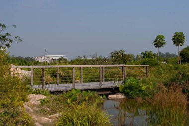 23 Aralık 2006 Hong Kong Wetland Parkı. Hong Kong, dışarı..