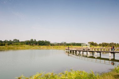 Hong Kong Wetland Parkı 'ndaki orman yolu 23 Aralık 2006