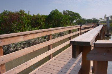  23 Aralık 2006 Tahta Yürüyüşlü Hong Kong Wetland Parkı