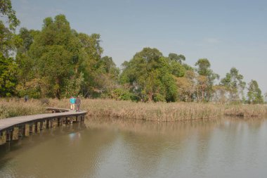 Hong Kong Wetland Parkı 'ndaki orman yolu 23 Aralık 2006