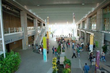   Ziyaretçiler 23 Aralık 2006 'da kuş gözlemlerinde teleskop kullanıyorlar.