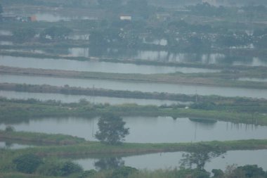  Fung Lok Wai 'deki balık havuzu 23 Aralık 2006