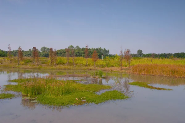 Hong Kong Wetland Park Tin Shui Wai — Stock Photo, Image