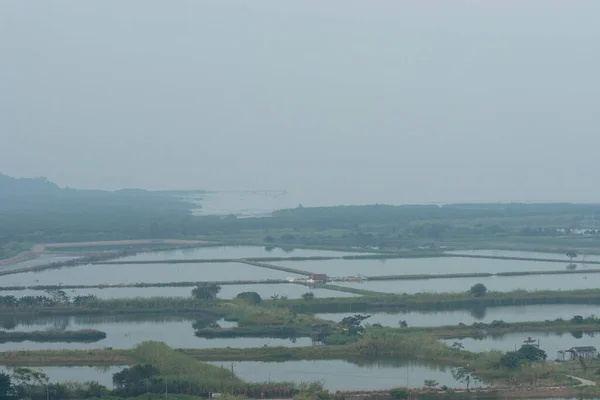 Der Fischteich Fung Lok Wai Dez 2006 — Stockfoto