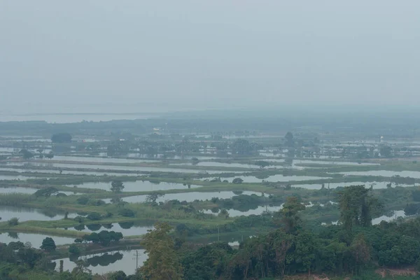 Staw Rybny Fung Lok Wai Dec 2006 — Zdjęcie stockowe