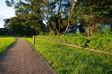 Park boyunca yol, Yeşil Çimen Peyzajı