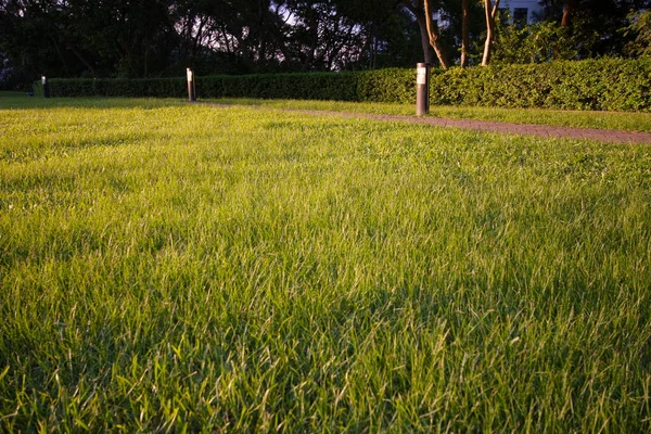 Caminho Através Parque Paisagem Grama Verde — Fotografia de Stock