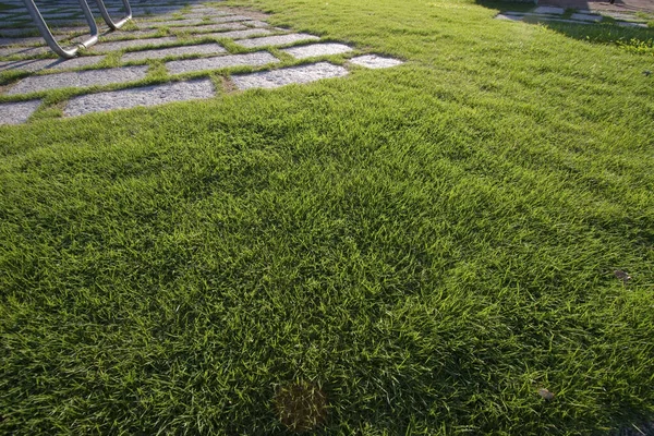 Weg Durch Den Park Grüne Graslandschaft — Stockfoto